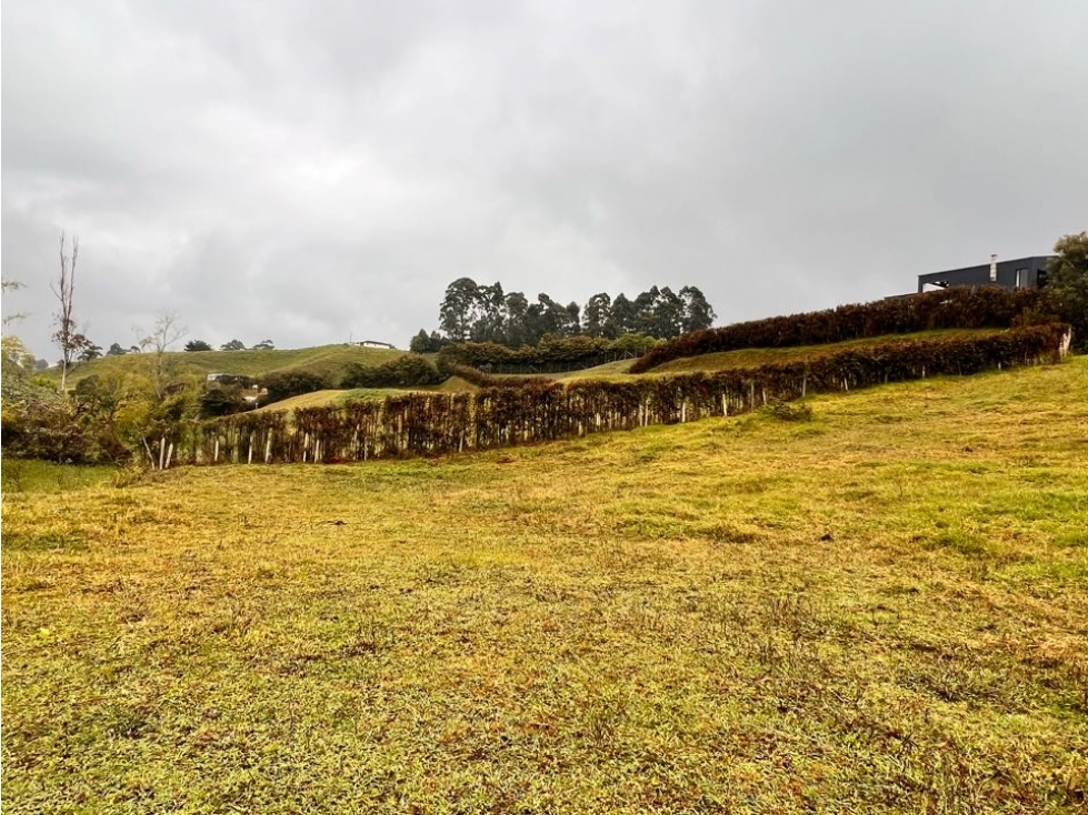 HERMOSOS LOTES EN VENTA CON EXCELENTE UBICACIÓN -EL CARMEN DE VÍBORAL