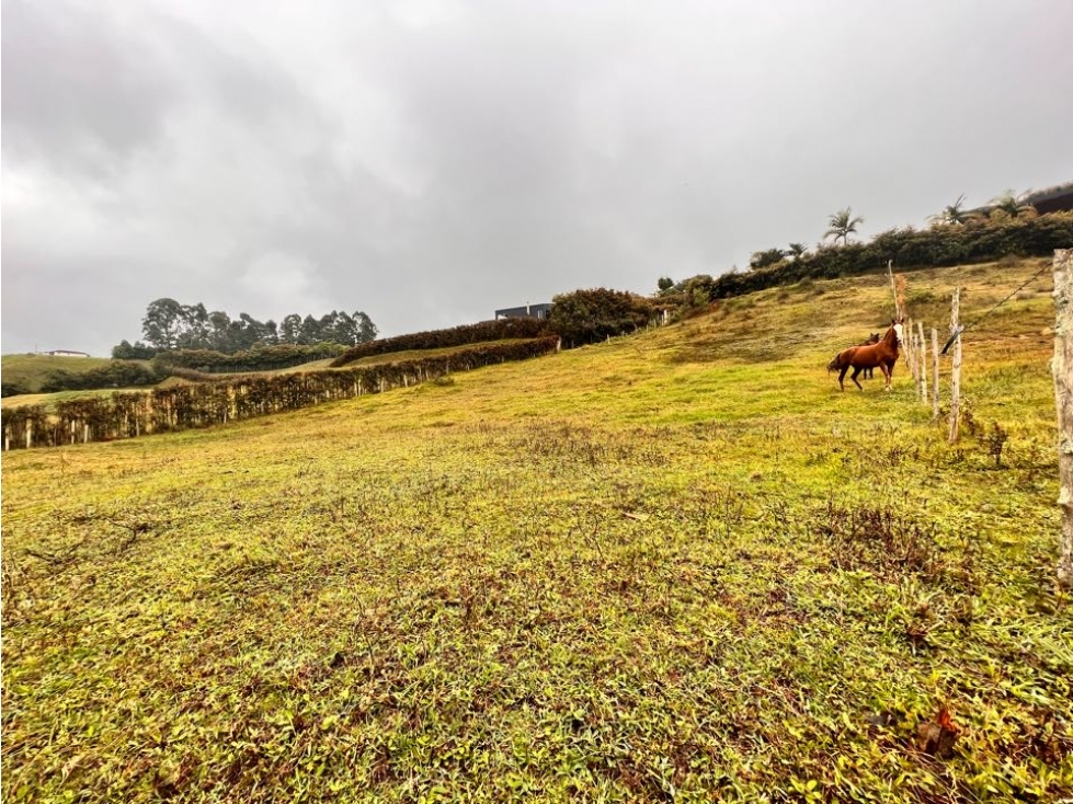HERMOSOS LOTES EN VENTA CON EXCELENTE UBICACIÓN -EL CARMEN DE VÍBORAL — foto 5