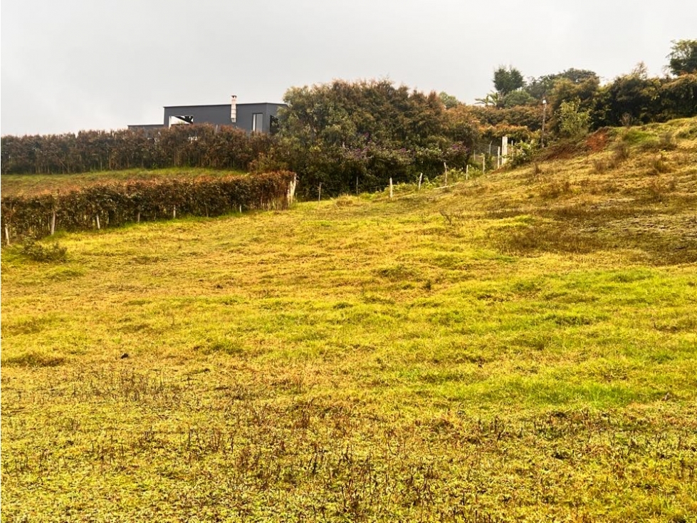 HERMOSOS LOTES EN VENTA CON EXCELENTE UBICACIÓN -EL CARMEN DE VÍBORAL — foto 6