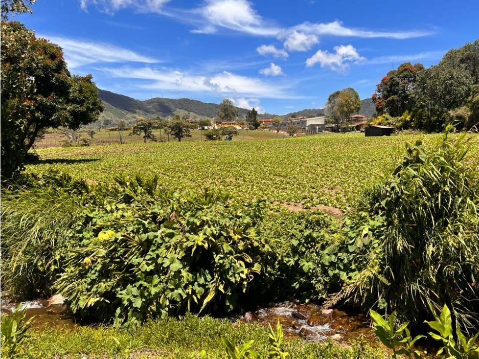 HERMOSOS LOTES EN VENTA CON EXCELENTE UBICACIÓN Y VECINDARIO -CARMEN V