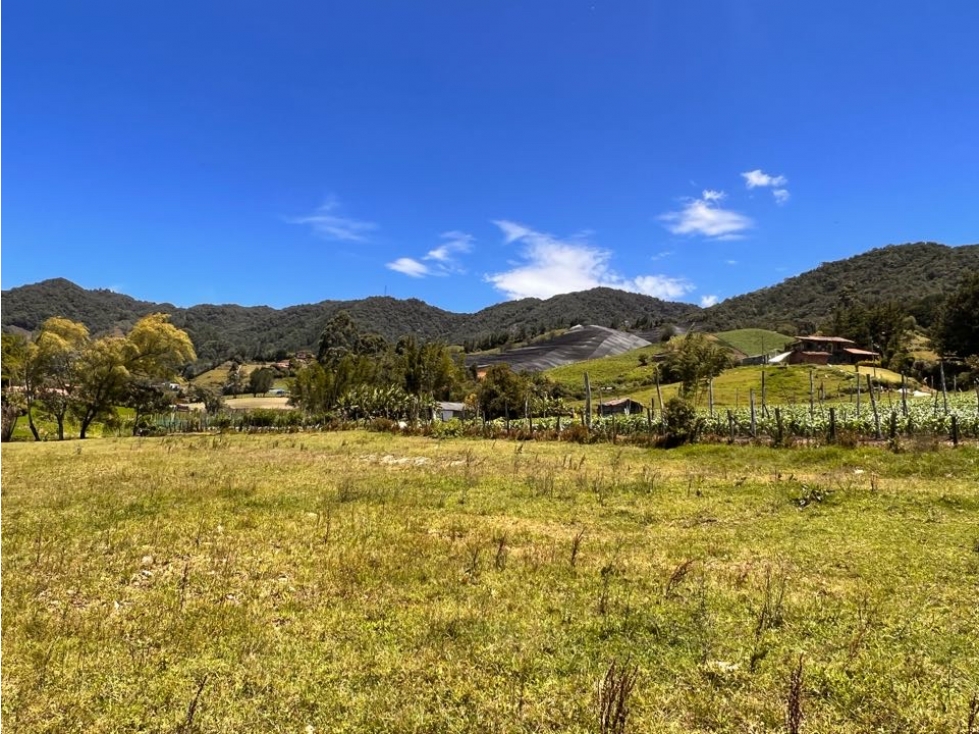 HERMOSOS LOTES EN VENTA CON EXCELENTE UBICACIÓN Y VECINDARIO -CARMEN V — foto 4