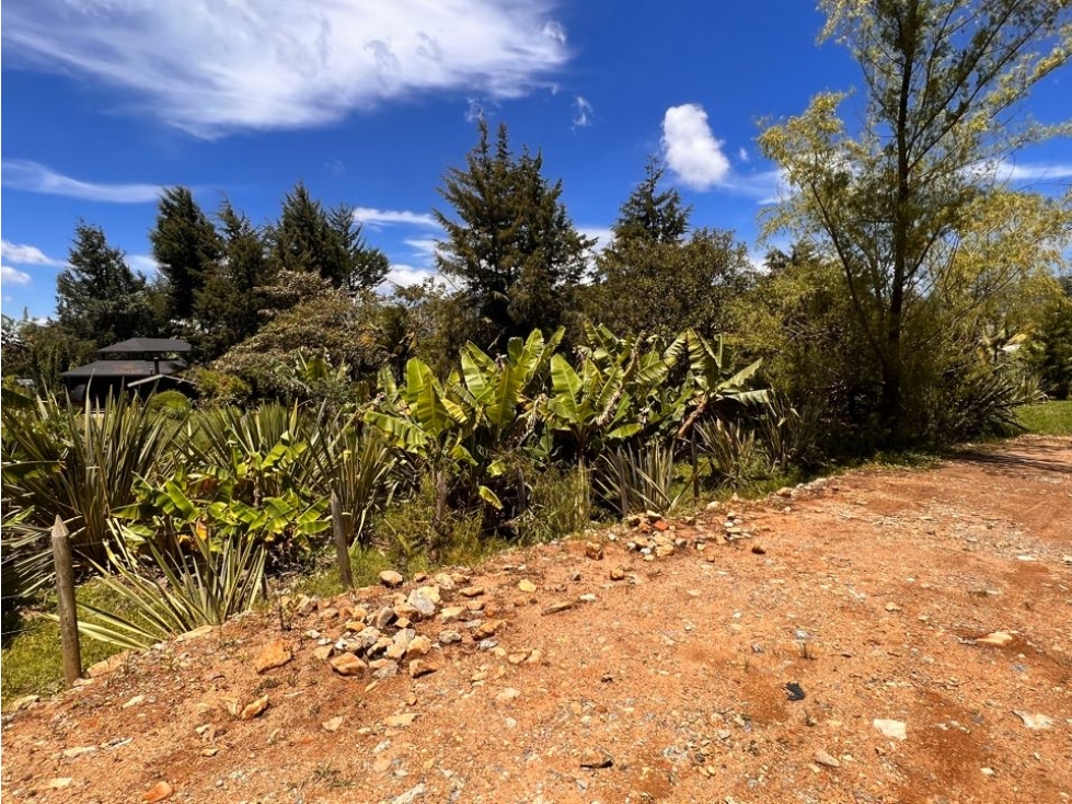 HERMOSOS LOTES EN VENTA CON EXCELENTE UBICACIÓN Y VECINDARIO -CARMEN V — foto 5