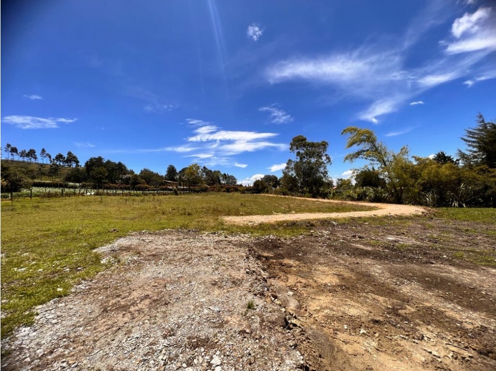 HERMOSOS LOTES EN VENTA CON EXCELENTE UBICACIÓN Y VECINDARIO -CARMEN V — foto 6