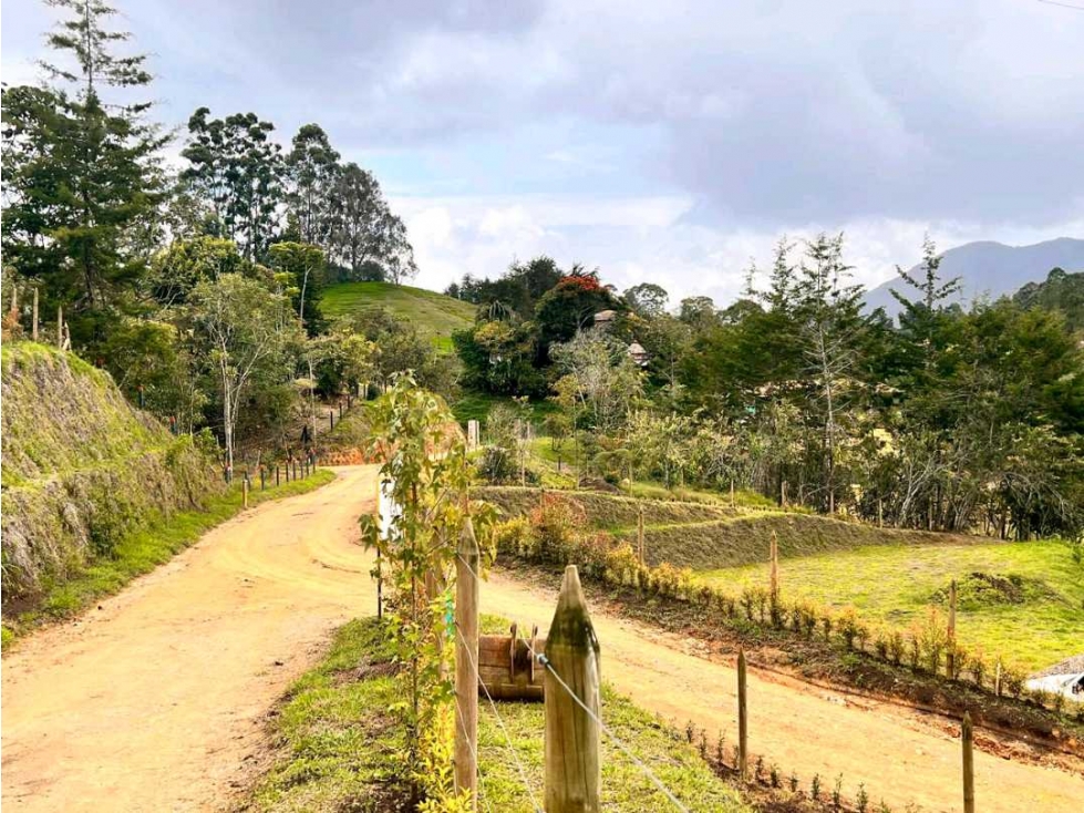 HERMOSOS LOTES EN VENTA CON EXCELENTE UBICACION-VEREDA QUIRAMA. CARMEN