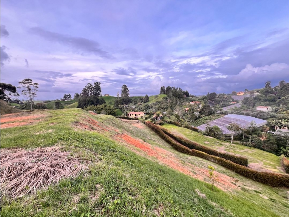 HERMOSOS LOTES EN VENTA CON EXCELENTE UBICACIÓN ~ CARMEN DE VÍBORAL.