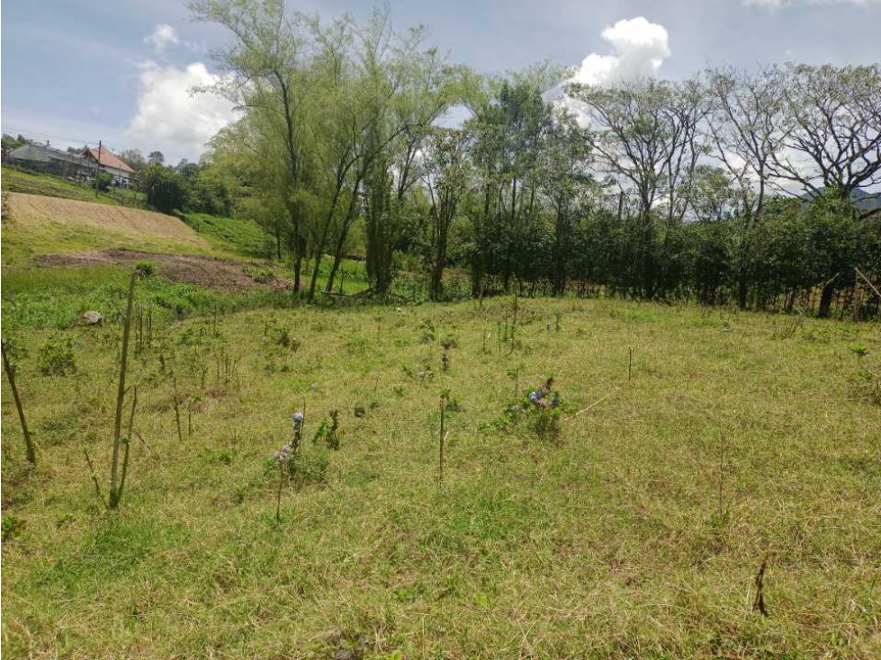 HERMOSOS LOTES EN VENTA EN EXCELENTE UBICACIÓN EN EL CARMEN DE VÍBORAL — foto 5