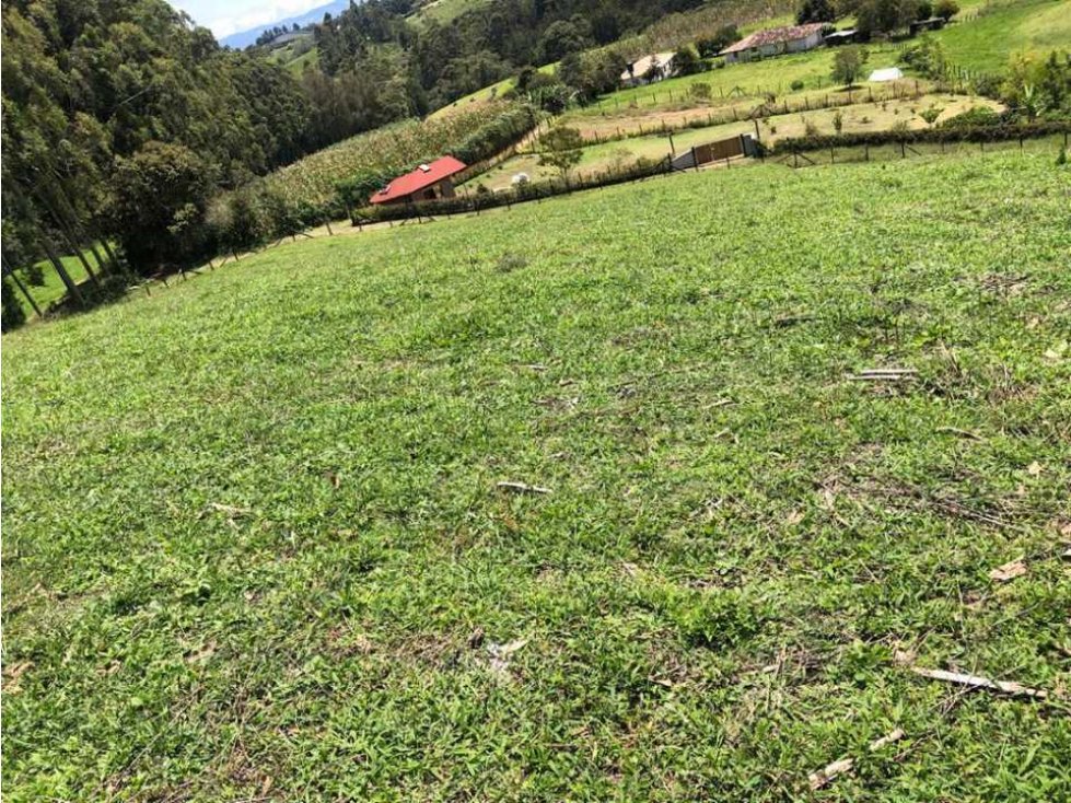 HERMOSO LOTE EN VENTA EN LA VERDEDA LA PALMA CARMEN DE VÍBORAL ANT.