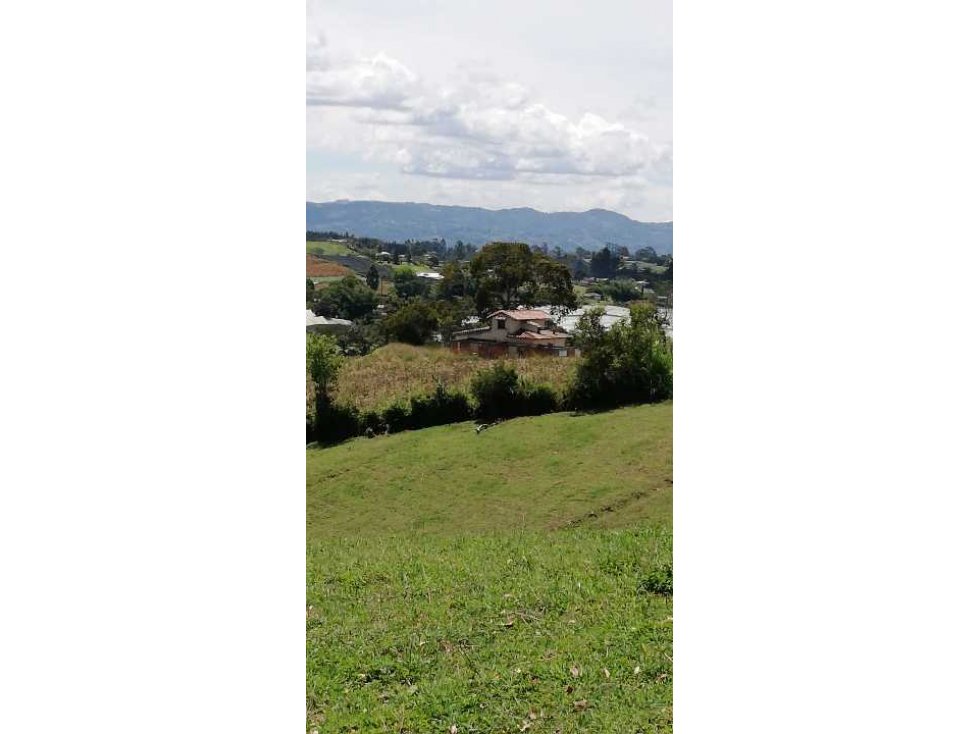 HERMOSO LOTE EN VENTA EN LA VERDEDA LA PALMA CARMEN DE VÍBORAL ANT. — foto 2