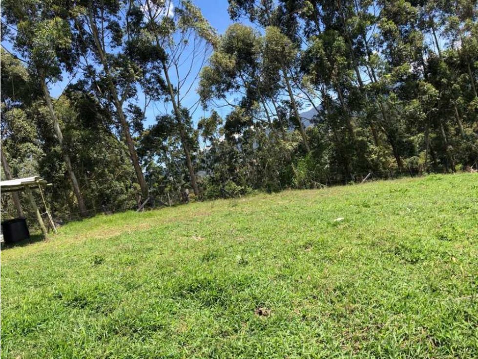 HERMOSO LOTE EN VENTA EN LA VERDEDA LA PALMA CARMEN DE VÍBORAL ANT. — foto 3