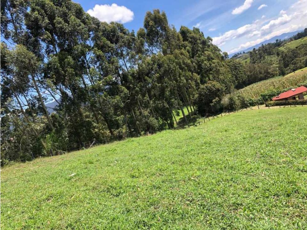 HERMOSO LOTE EN VENTA EN LA VERDEDA LA PALMA CARMEN DE VÍBORAL ANT. — foto 4