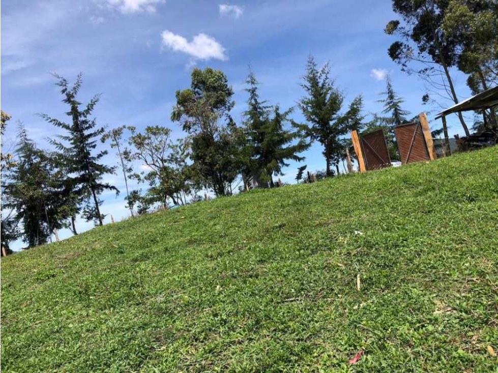 HERMOSO LOTE EN VENTA EN LA VERDEDA LA PALMA CARMEN DE VÍBORAL ANT. — foto 5