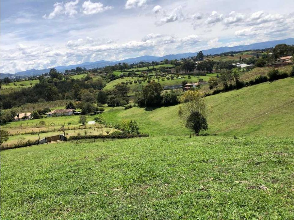 HERMOSO LOTE EN VENTA EN LA VERDEDA LA PALMA CARMEN DE VÍBORAL ANT. — foto 6