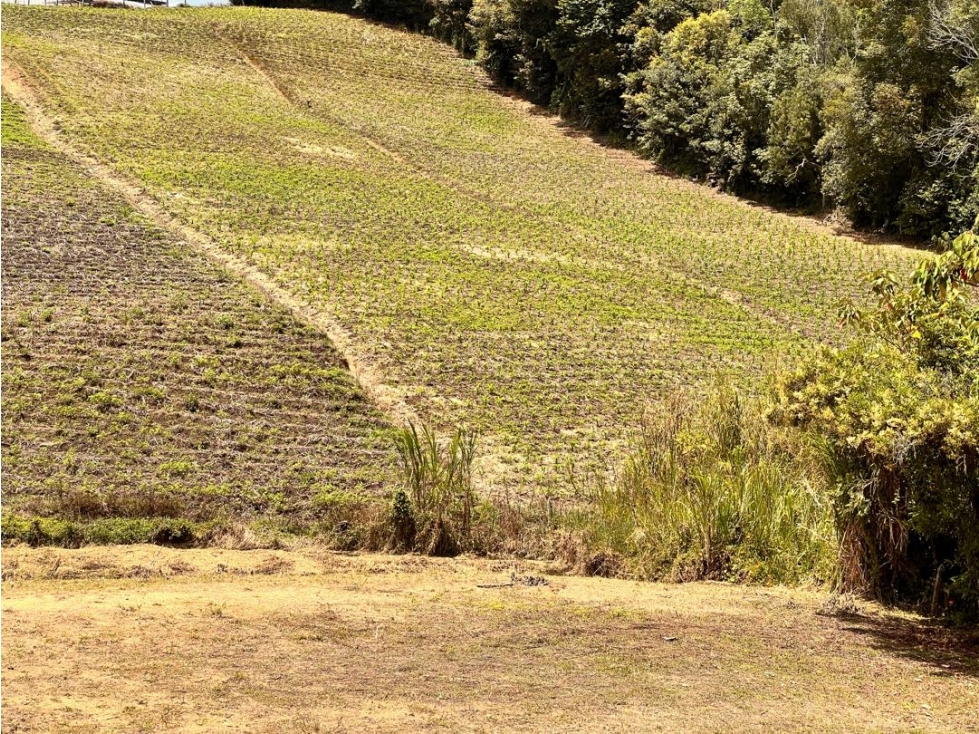 HERMOSOS LOTES EN VENTA EN LA VEREDA SONADORA CON AGUA PROPIA — foto 2