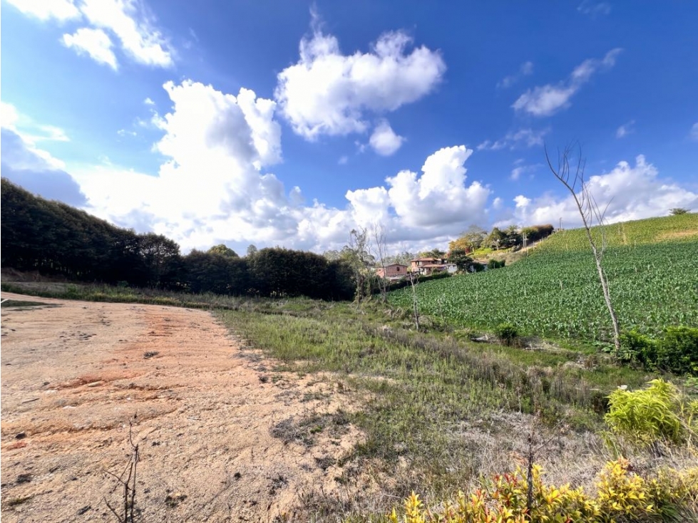HERMOSOS LOTES EN VENTA EN LA VEREDA SONADORA CON AGUA PROPIA — foto 4