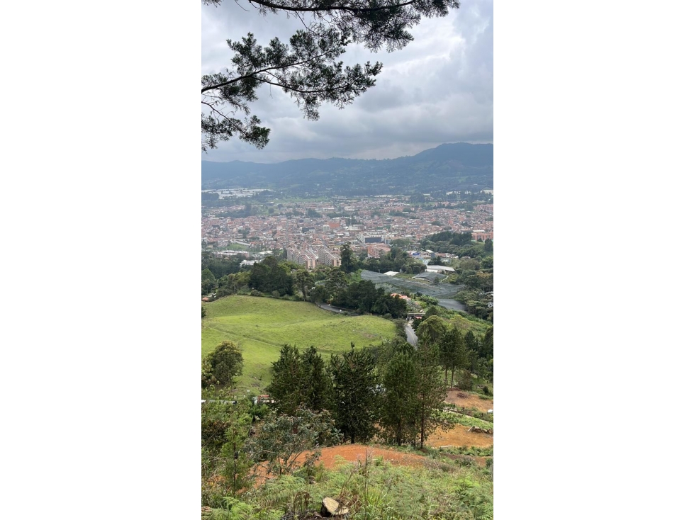 Hermosos lotes sobre vía La Ceja Medellín