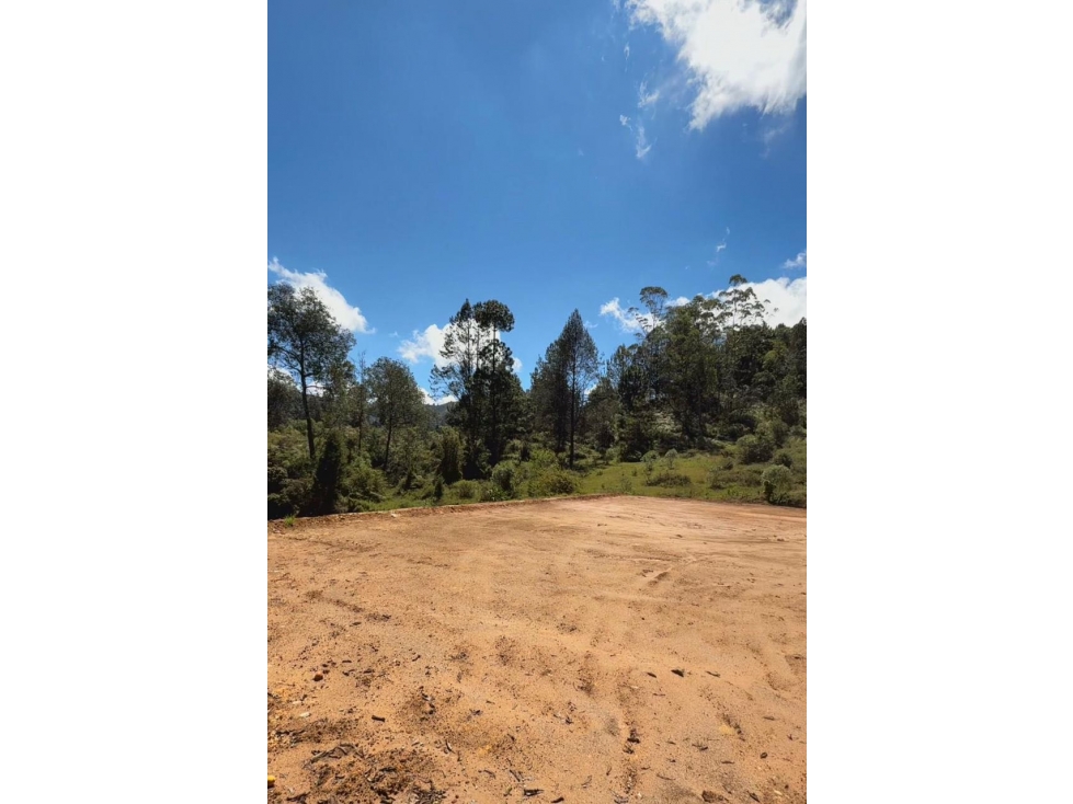 Hermosos lotes ubicados en la vereda La Clara Guarne — foto 2