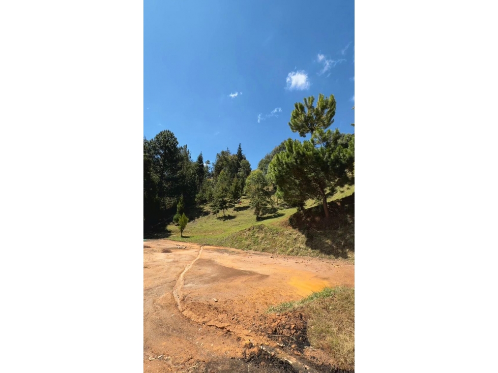 Hermosos lotes ubicados en la vereda La Clara Guarne — foto 4