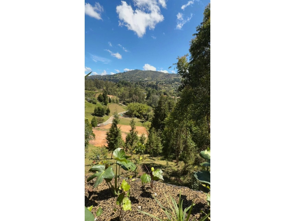 Hermosos lotes ubicados en la vereda La Clara Guarne — foto 6