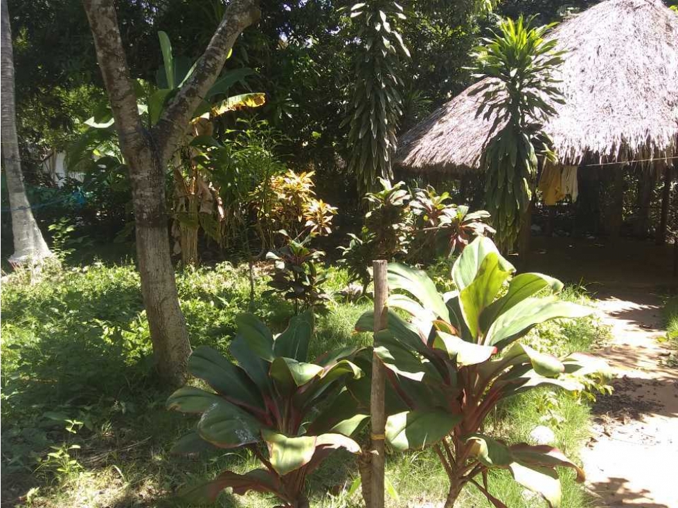Hostal cerca al Mar, Santa Marta - 6