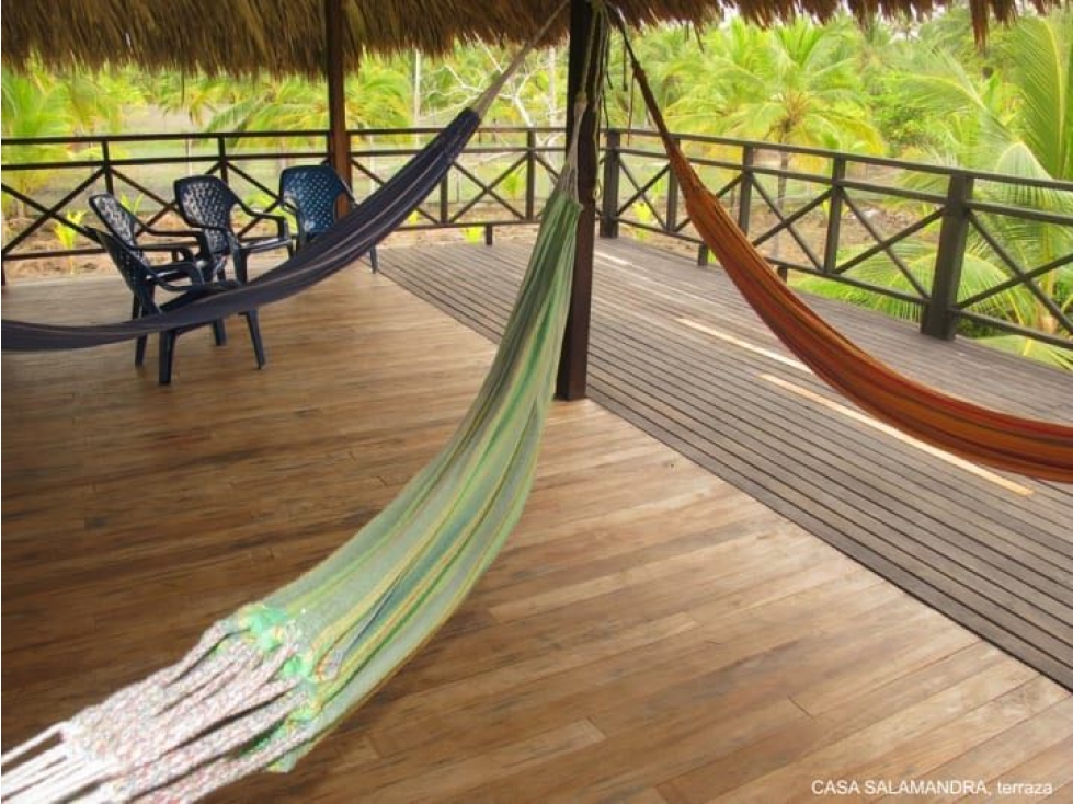 Hotel en Salamandra ~ Moñitos a la venta - 6