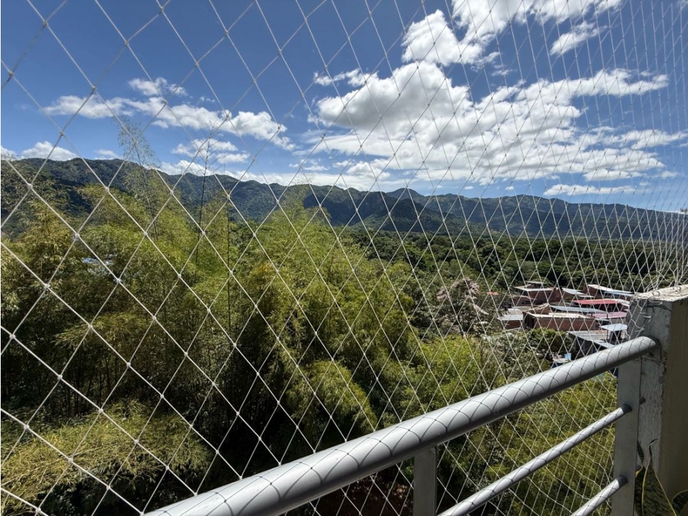 Ibague — foto 4