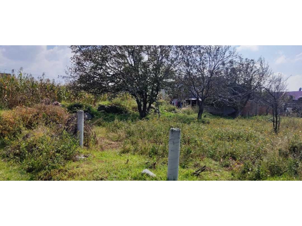 Ideal para desarrollo de vivienda en San Luis Teolocholco,Tlax. - 2