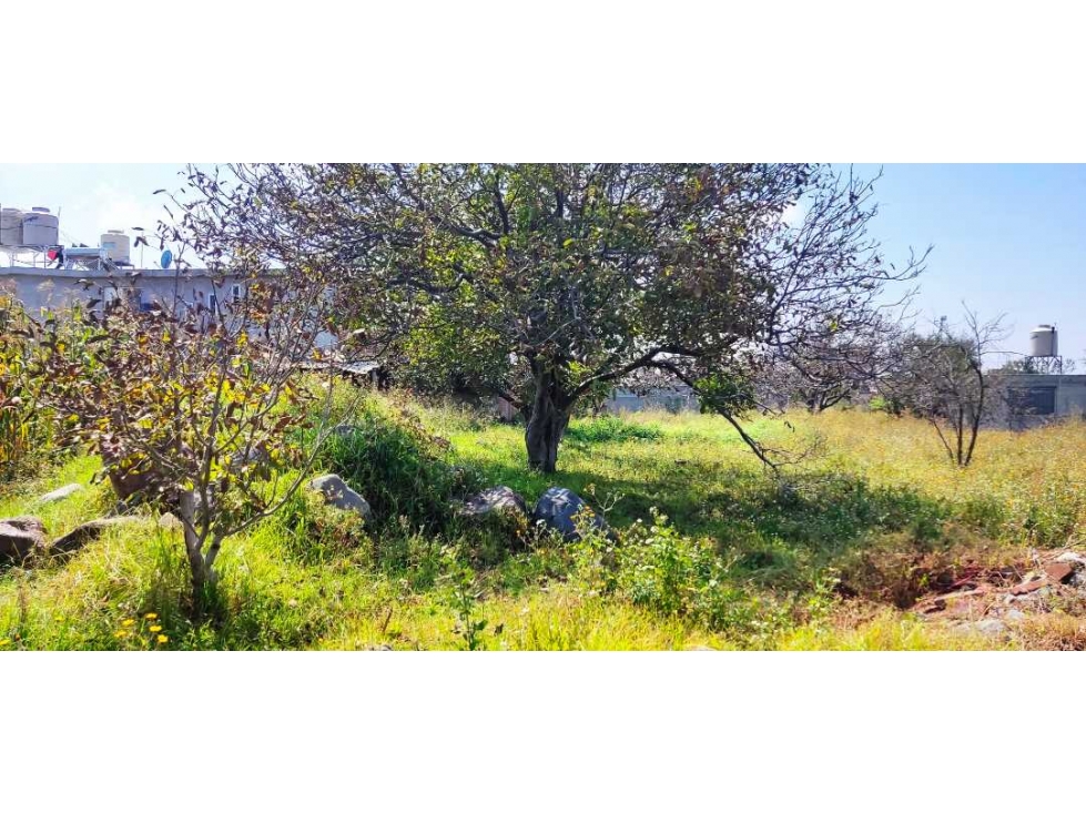 Ideal para desarrollo de vivienda en San Luis Teolocholco,Tlax. - 4