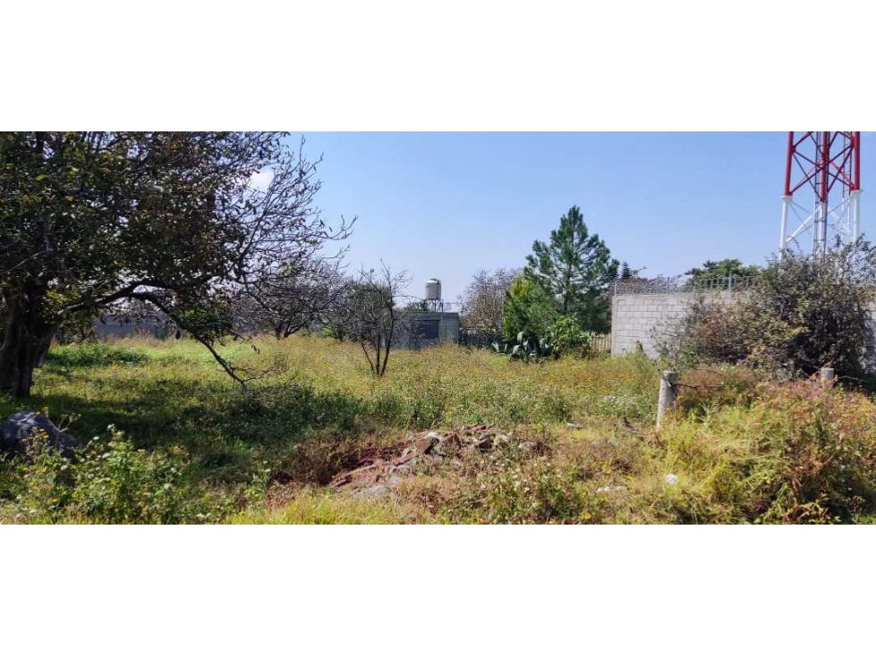 Ideal para desarrollo de vivienda en San Luis Teolocholco,Tlax. - 5