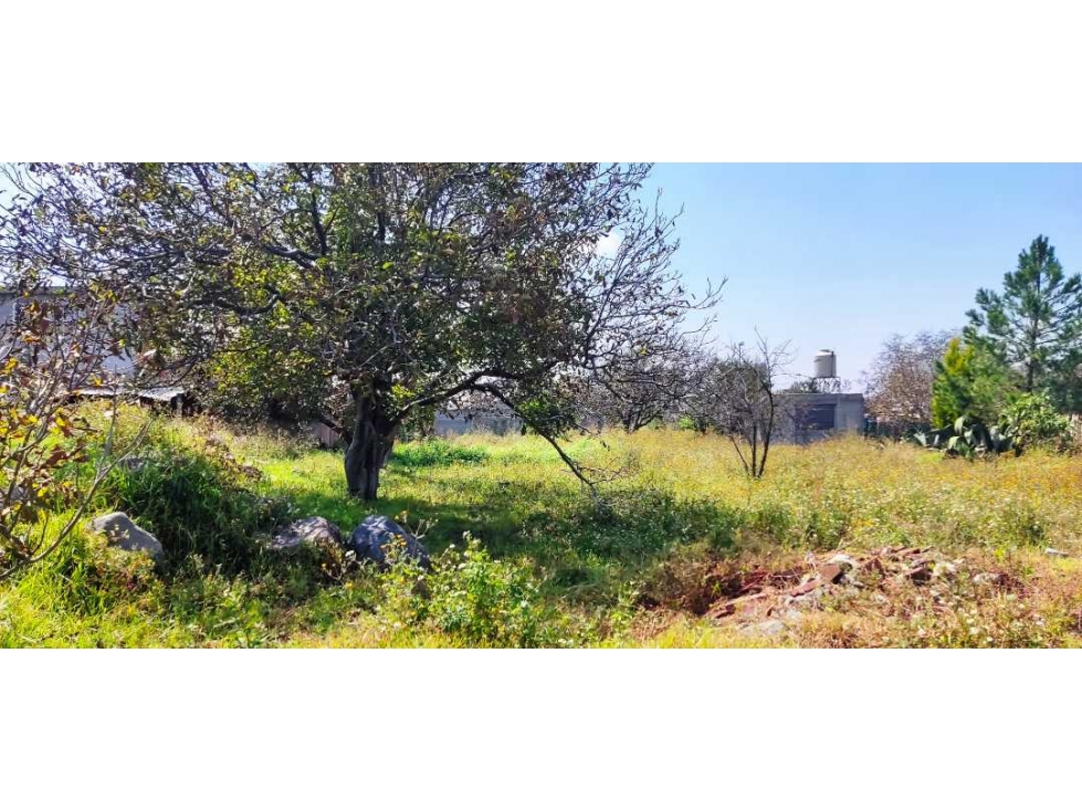 Ideal para desarrollo de vivienda en San Luis Teolocholco,Tlax. - 6