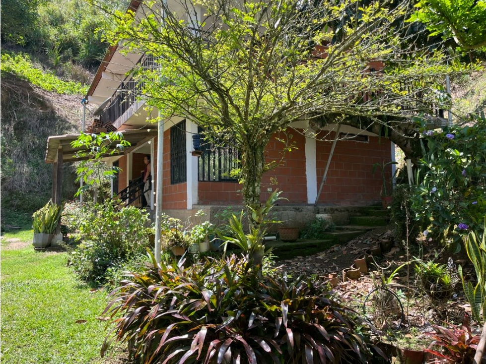 IMPRESIONANTE FINCA CON TERRENO AGRÍCOLA — foto 6