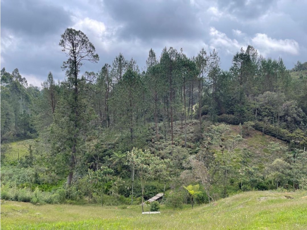 Impresionante lote en el retiro en exclusiva parcelacion — foto 3