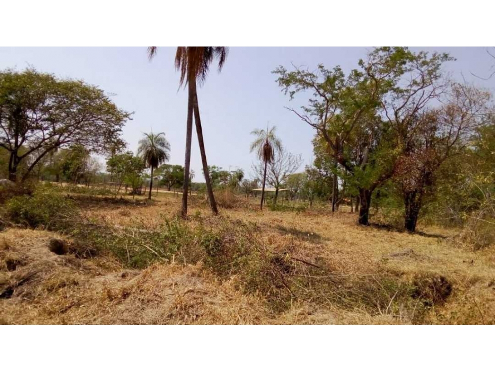 Increíble oportunidad. Vendo 4 terrenos en San Bernardino oferta - 2