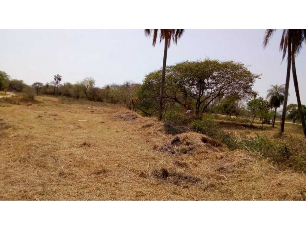 Increíble oportunidad. Vendo 4 terrenos en San Bernardino oferta - 3