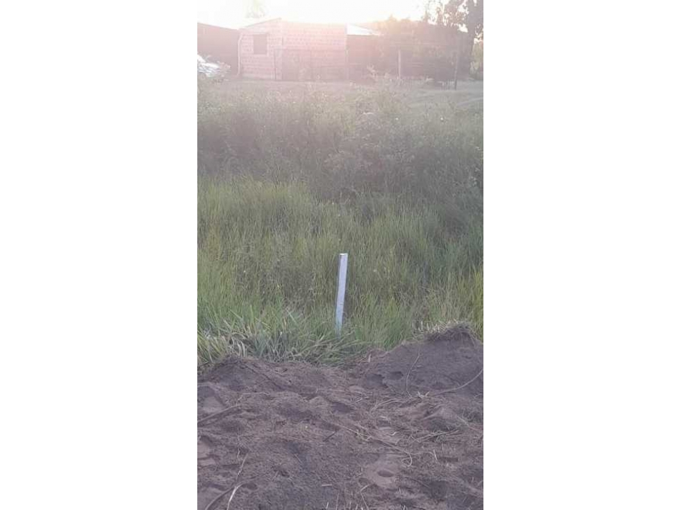 Increíble oportunidad. Vendo 4 terrenos en San Bernardino oferta - 5