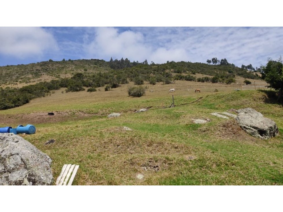 Inversión constructores bajo de precio — foto 3