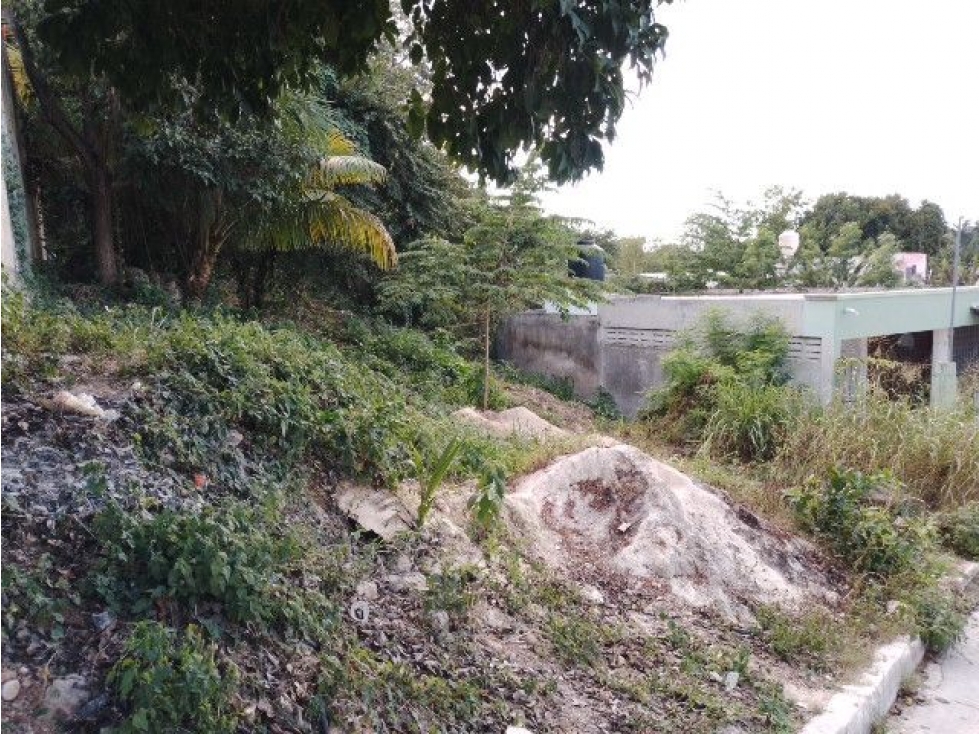 Inversión Estratégica: Terreno Habitacional en Ampliación San Rafae - 1