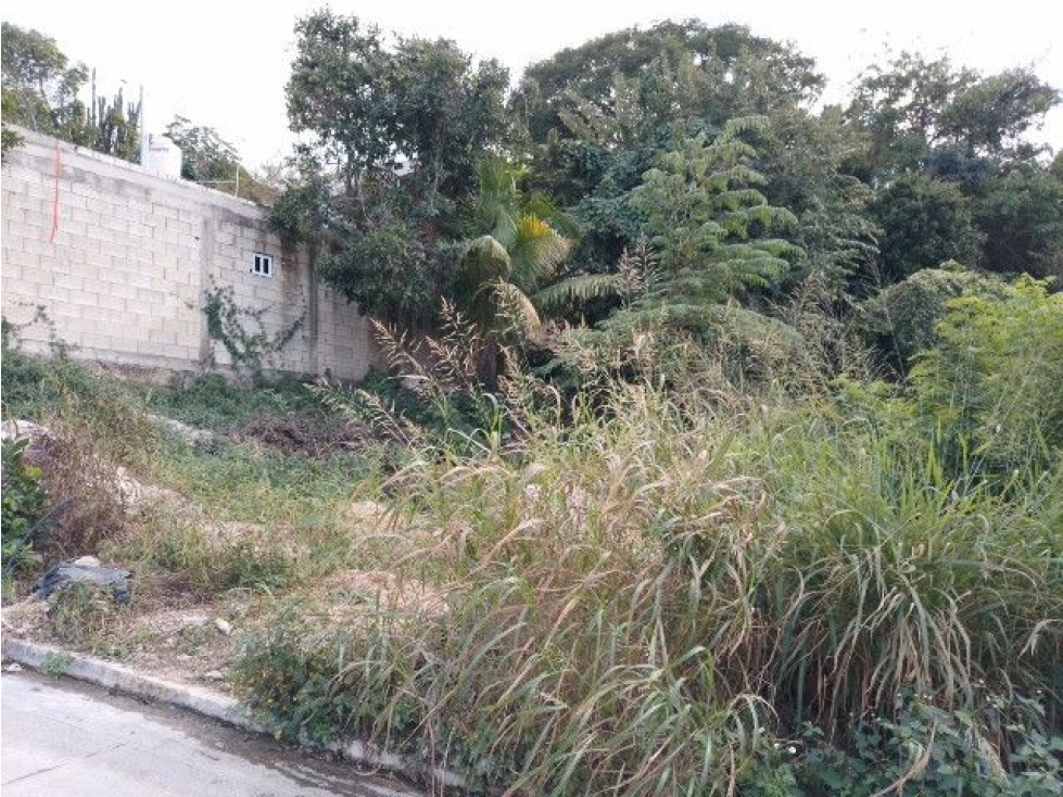 Inversión Estratégica: Terreno Habitacional en Ampliación San Rafae — foto 2