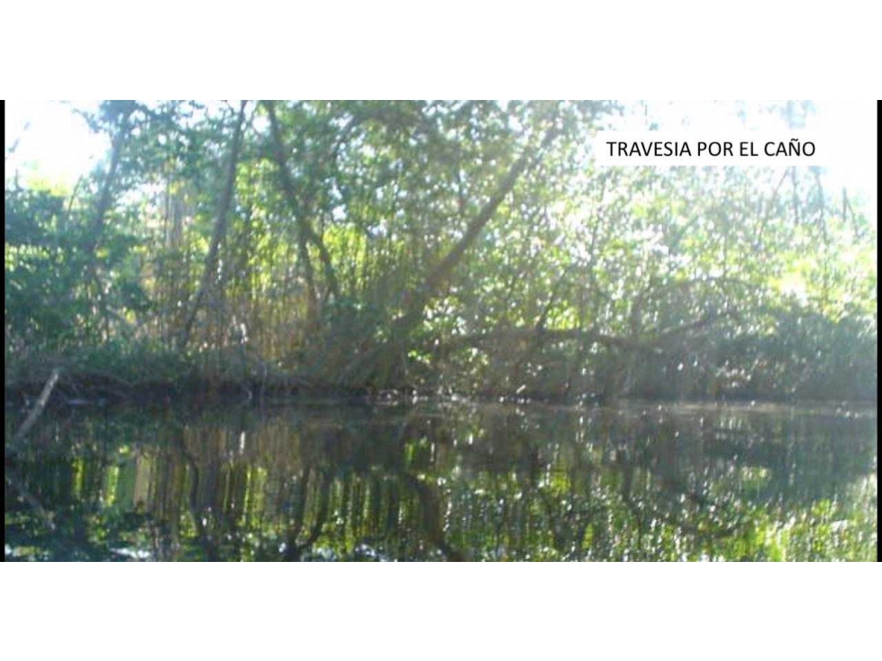 Isla En Venta en Tolu - 2