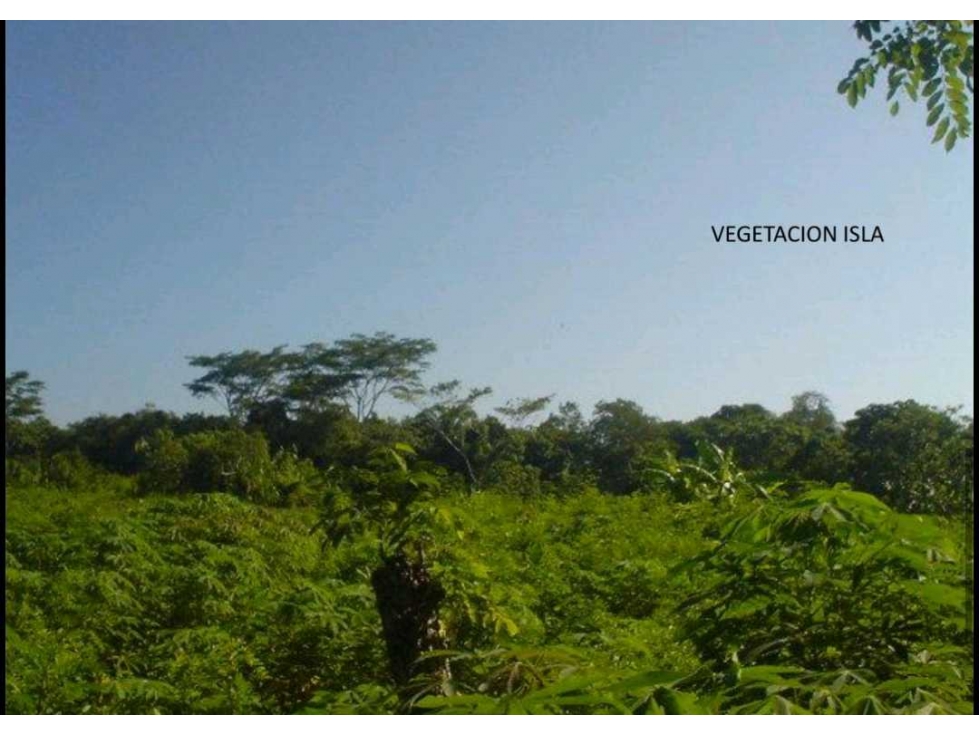 Isla En Venta en Tolu - 5