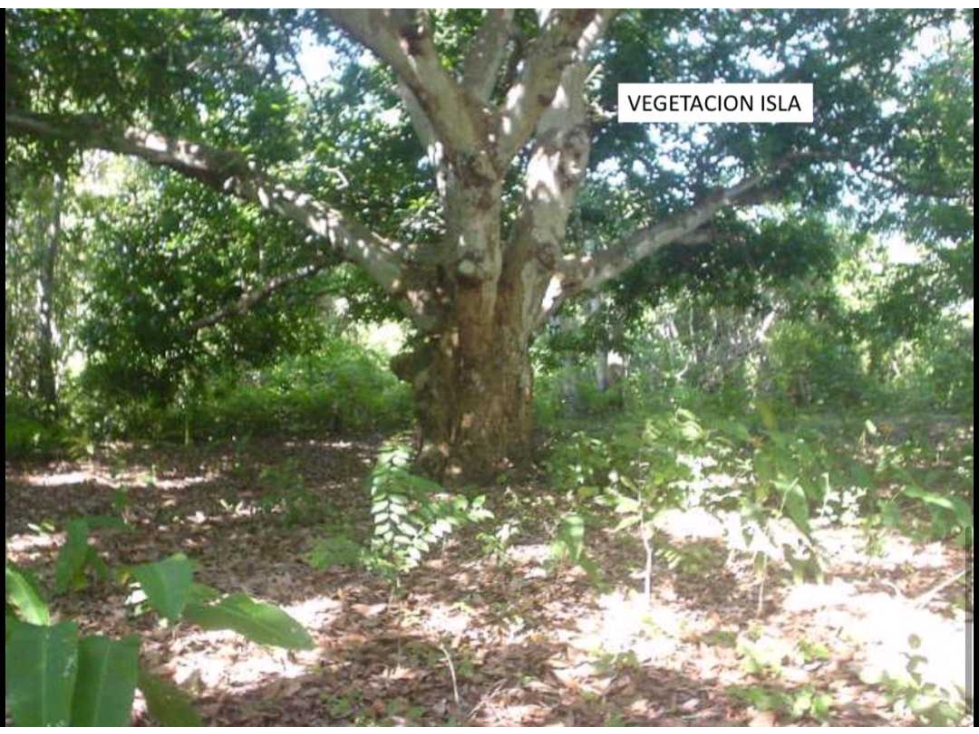 Isla En Venta en Tolu - 6