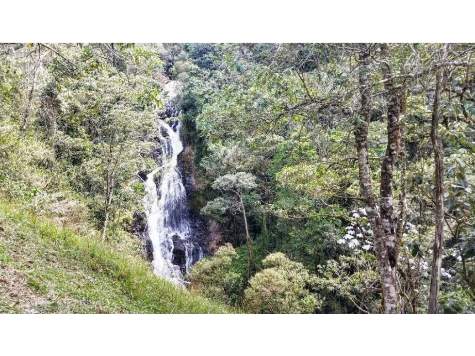 (J) Casa Campestre en venta El Retiro 10.000 mt2 de Lote con Cascada — foto 2