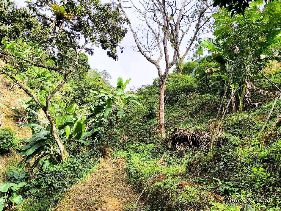 (J) Finca en venta Barbosa (Ant) Vereda Potrerito — foto 5
