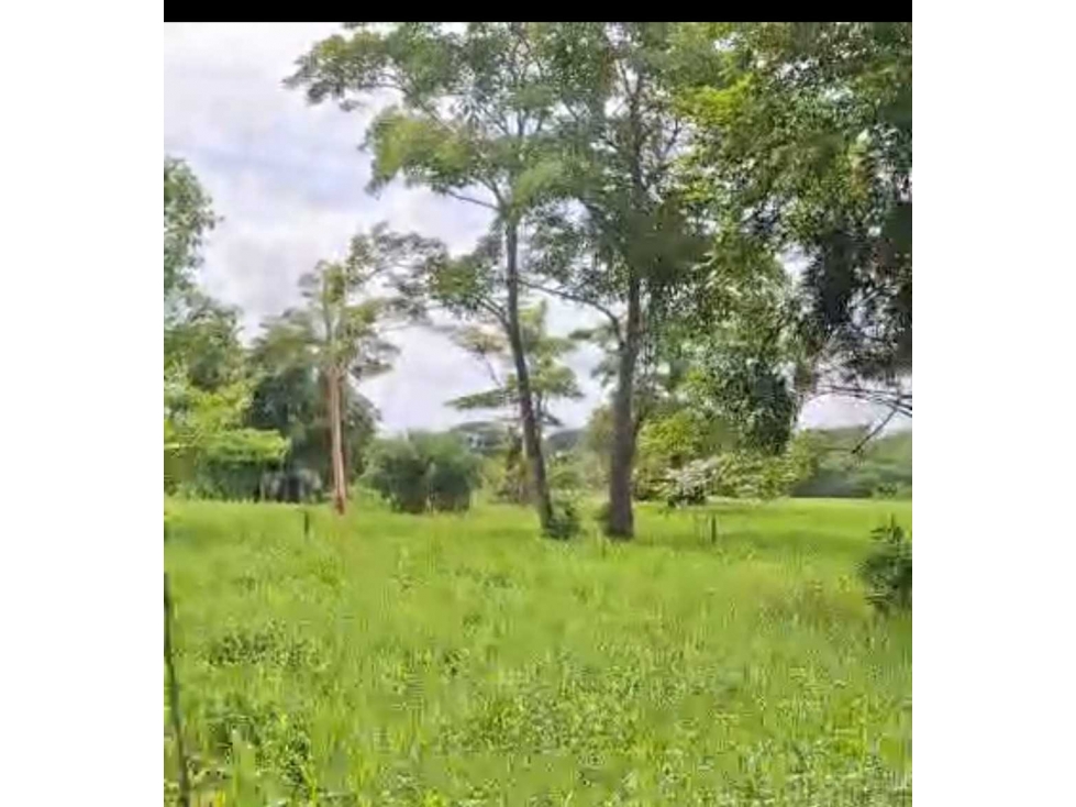 (J) Finca Ganadera a la venta en Buenavista Cordoba 398 ha - 6