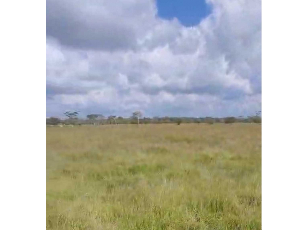 (J) Finca Ganadera a la venta en Buenavista Cordoba 398 ha - 3