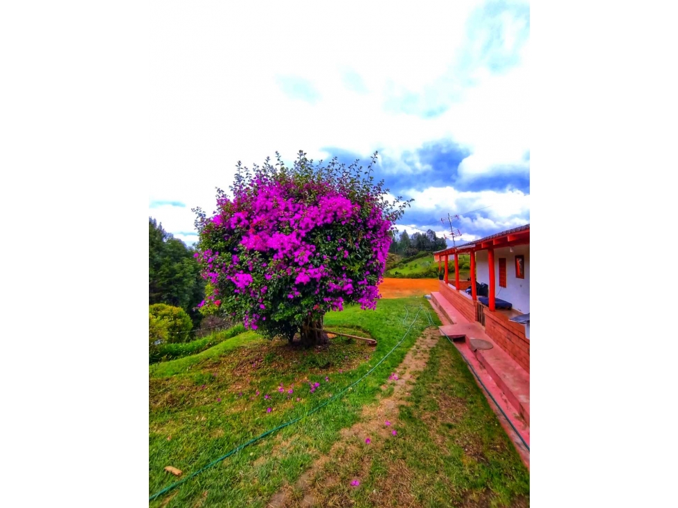 (J) Finca para la venta en Guarne Vereda Piedras Blancas 9.311 mt2 — foto 3