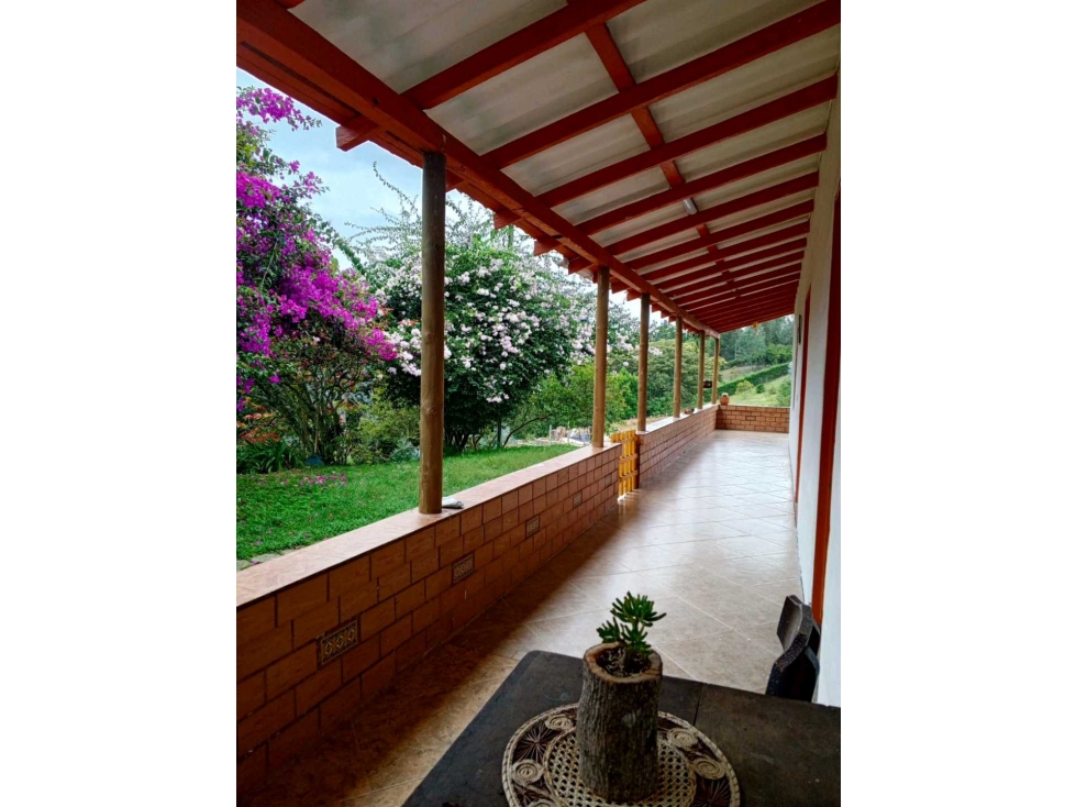 (J) Finca para la venta en Guarne Vereda Piedras Blancas 9.311 mt2 — foto 4