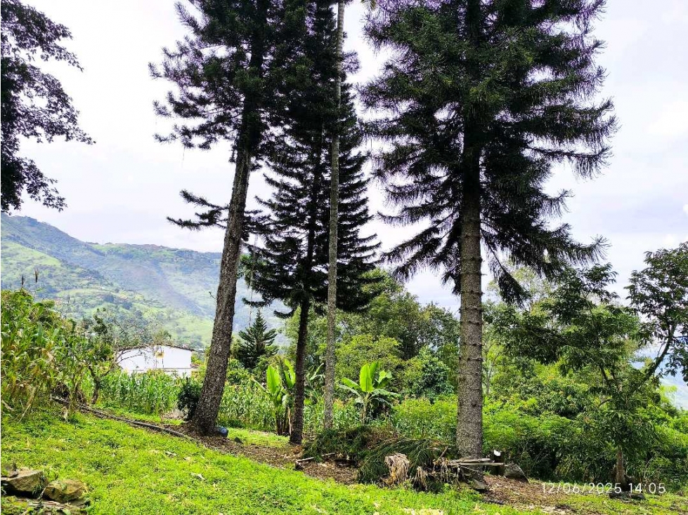 (J) Lote en venta en Copacabana Vereda El Zarzal