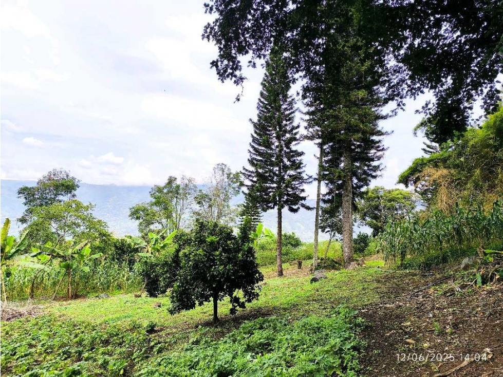 (J) Lote en venta en Copacabana Vereda El Zarzal — foto 3