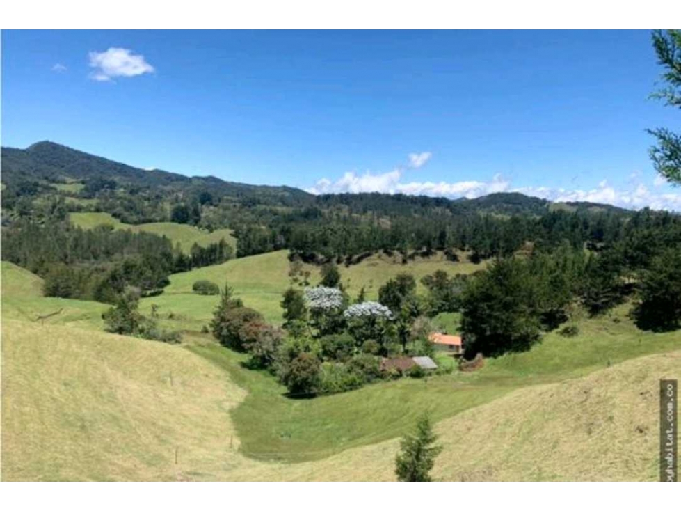 (J) Lote en venta en El Retiro 8.161 mt2