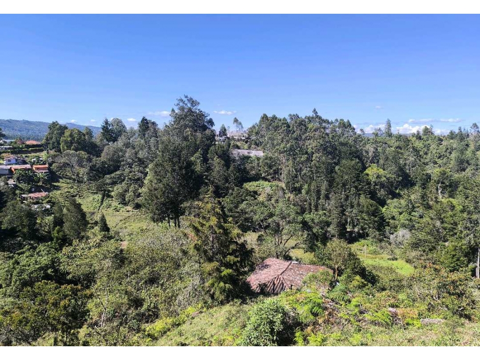 (J) Lote en venta en Rionegro Vereda Abreito 2.600 mt2 — foto 4
